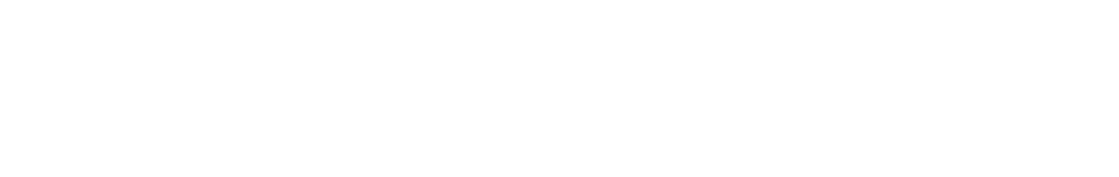logo light